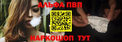 стафф Кингисепп