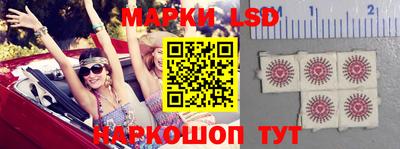 стафф Кингисепп