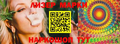 стафф Кингисепп
