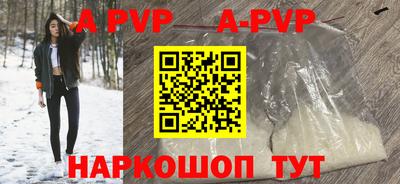 стафф Кингисепп