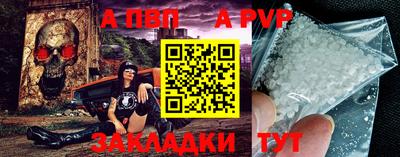 стафф Кингисепп