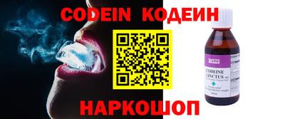 стафф Кингисепп