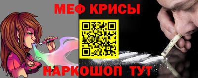 стафф Кингисепп